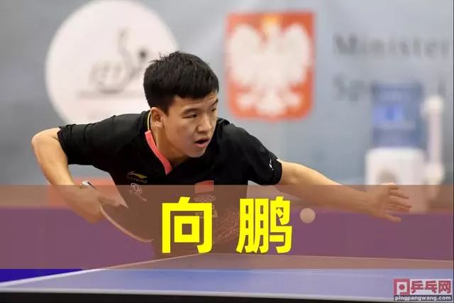 资格的希望 资格的希望